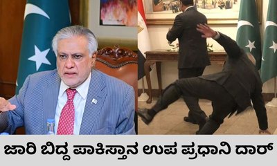 ಜಾರಿ ಬಿದ್ದ ಪಾಕಿಸ್ತಾನದ ಉಪಪ್ರಧಾನಿ ಇಶಾಕ್ ದಾರ್; ವಿಡಿಯೊ ವೈರಲ್‌