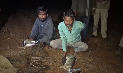 ಕಾಡು ಪ್ರಾಣಿಗಳ ಬಲಿ ಪಡೆಯುತ್ತಿದ್ದ ಇಬ್ಬರ ಬಂಧನ
