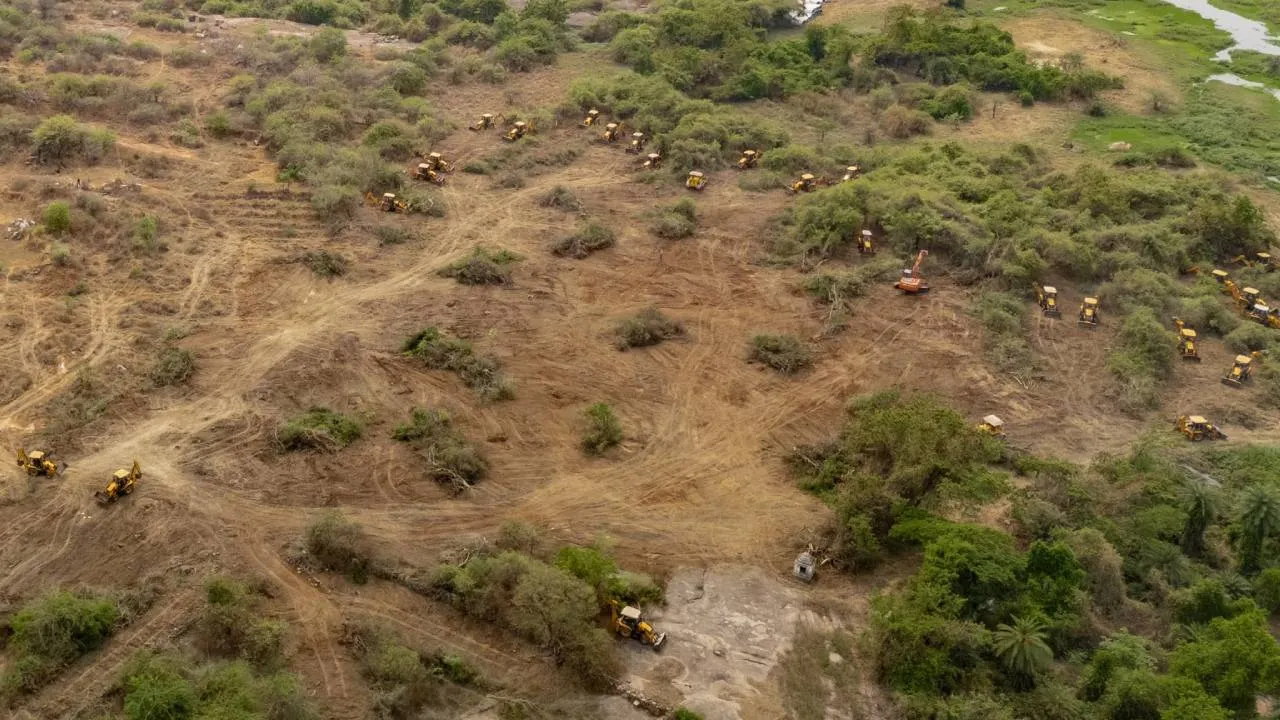 Kancha Gachibowli Land Row: ತೆಲಂಗಾಣ ಸರ್ಕಾರದಿಂದ ಮರಗಳ ಮಾರಣ ಹೋಮ; ಸುಪ್ರೀಂ ಕೋರ್ಟ್‌ನಿಂದ ಚಾಟಿ: ಏನಿದು ವಿವಾದ? - Image 3