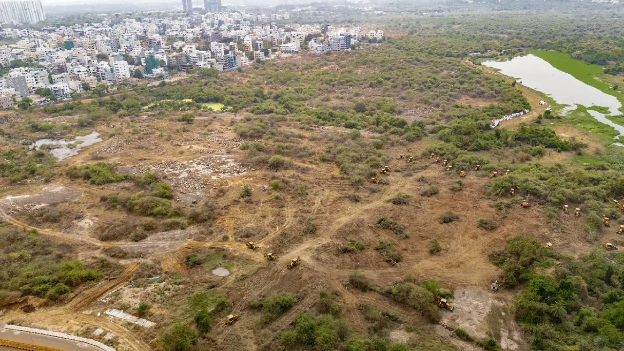Kancha Gachibowli Land Row: ತೆಲಂಗಾಣ ಸರ್ಕಾರದಿಂದ ಮರಗಳ ಮಾರಣ ಹೋಮ; ಸುಪ್ರೀಂ ಕೋರ್ಟ್‌ನಿಂದ ಚಾಟಿ: ಏನಿದು ವಿವಾದ? - Image 4