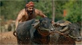 ಕಾಂತಾರದ ಅಪ್ಪು ಇನ್ನಿಲ್ಲ