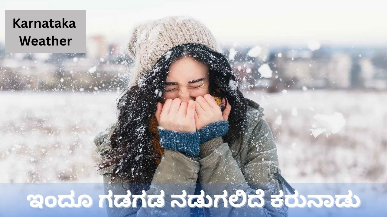 Karnataka Weather: ಚಳಿಗೆ ಕಾಶ್ಮೀರದಂತಾದ ಬೆಂಗಳೂರು; ರಾಜ್ಯಾದ್ಯಂತ ಮಂಜಿನ ಪರದೆ: 7 ಜಿಲ್ಲೆಗಳಿಗೆ ಯೆಲ್ಲೋ ಅಲರ್ಟ್‌
