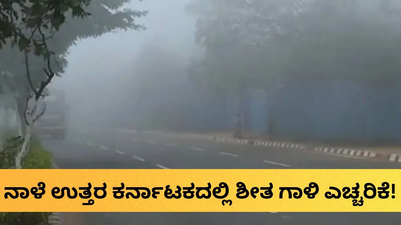 Karnataka Weather Forecast: ನಾಳೆ ದಕ್ಷಿಣ ಒಳನಾಡಿನಲ್ಲಿ ಮಳೆ ಮುನ್ಸೂಚನೆ, ಉತ್ತರ ಒಳನಾಡಿಗೆ ಶೀತ ಗಾಳಿ ಎಚ್ಚರಿಕೆ!