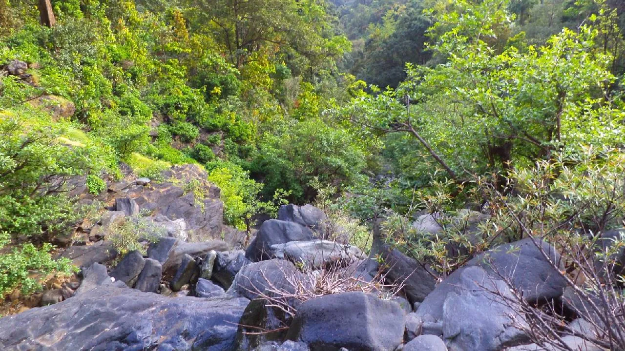 Kantara: Chapter 1: ಇದೇ ನೋಡಿ ʼಕಾಂತಾರ: ಚಾಪ್ಟರ್‌ 1' ಚಿತ್ರದ ಶೂಟಿಂಗ್‌ ನಡೆದ ಸ್ಥಳ - Image 2