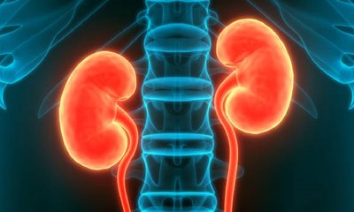 ಎಲ್ಲಾ ವಯಸ್ಸಿನವರಲ್ಲೂ ಮೂತ್ರಪಿಂಡದ (ಕಿಡ್ನಿ) ಆರೋಗ್ಯ