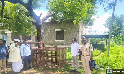 ಯುಕೆಪಿಯಲ್ಲಿ ಭಯದ ವಾತಾವರಣ : ಮಂಗಗಳ ಸೆರೆ