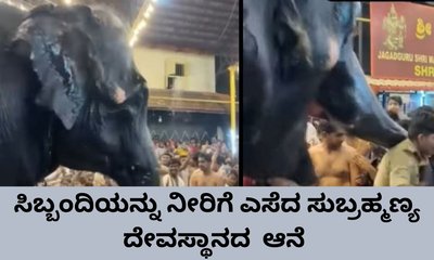 ಸುಬ್ರಹ್ಮಣ್ಯ ದೇವಸ್ಥಾನದ ಸಿಬ್ಬಂದಿಯನ್ನು ಎತ್ತಿ ಎಸೆದ ಆನೆ