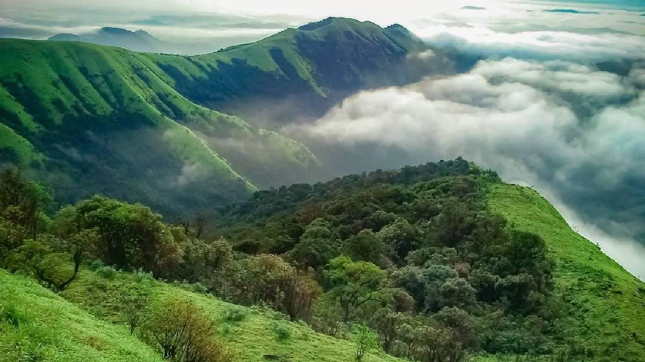 Kantara: Chapter 1: ಇದೇ ನೋಡಿ ʼಕಾಂತಾರ: ಚಾಪ್ಟರ್‌ 1' ಚಿತ್ರದ ಶೂಟಿಂಗ್‌ ನಡೆದ ಸ್ಥಳ - Image 1