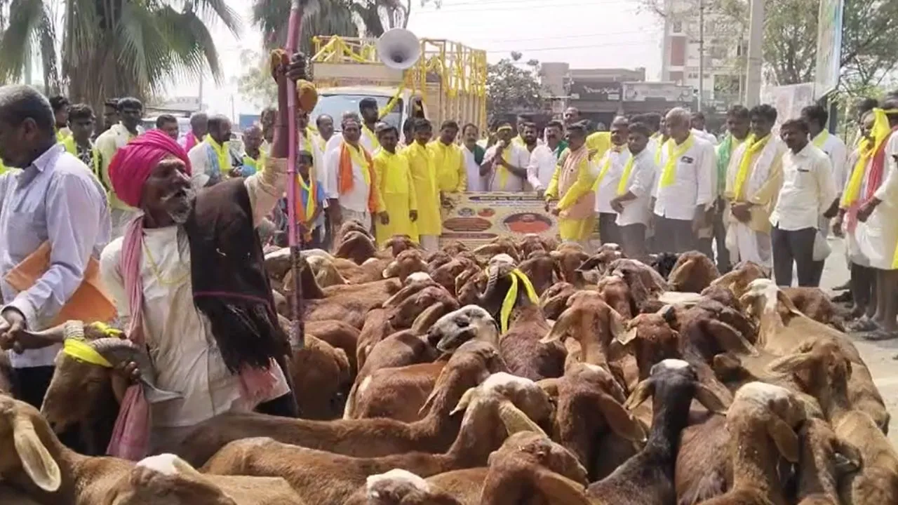 ಕುರುಬ ಸಮುದಾಯಕ್ಕೆ ಎಸ್‌ಟಿ ಸಿಂಧುತ್ವ ಪ್ರಮಾಣಪತ್ರ ನೀಡಲು ಆಗ್ರಹ; ಯಾದಗಿರಿಯಲ್ಲಿ ಕುರಿ ಹಿಂಡುಗಳೊಂದಿಗೆ ಪ್ರತಿಭಟನೆ