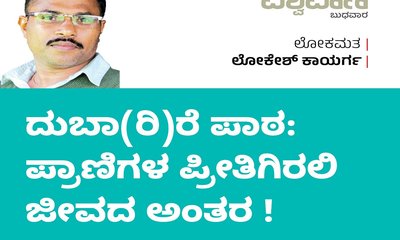 ದುಬಾ(ರಿ)ರೆ ಪಾಠ: ಪ್ರಾಣಿಗಳ ಪ್ರೀತಿಗಿರಲಿ ಜೀವದ ಅಂತರ !