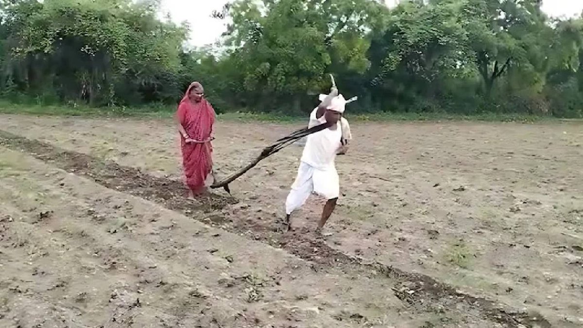 Latur Farmer