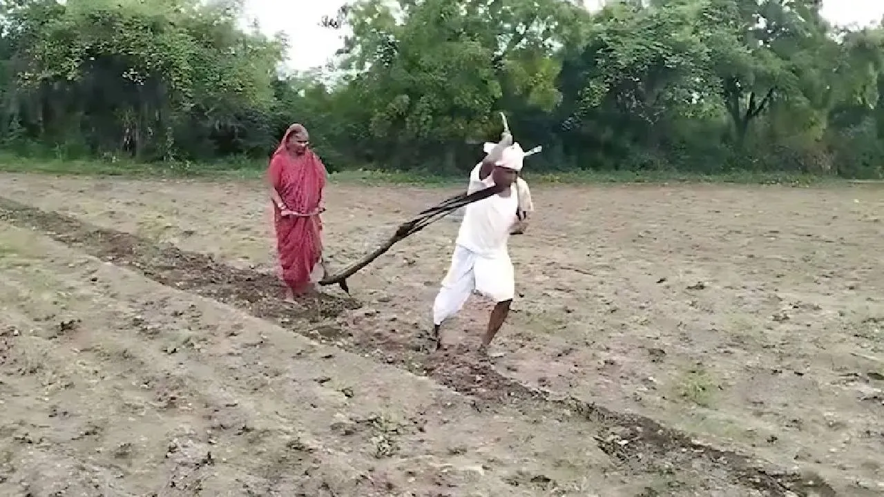 Latur Farmer