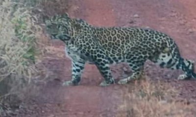 Vishwavani Editorial: ಆತಂಕಗಳು ಅಂತ್ಯವಾಗಲಿ