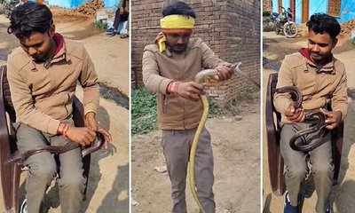 ವಿಷಕಾರಿ ಹಾವಿನೊಂದಿಗೆ ವಿದ್ಯಾರ್ಥಿ ಹರಟೆ: ಎದೆ ಝಲ್ ಎನ್ನುವ ದೃಶ್ಯವಿದು!