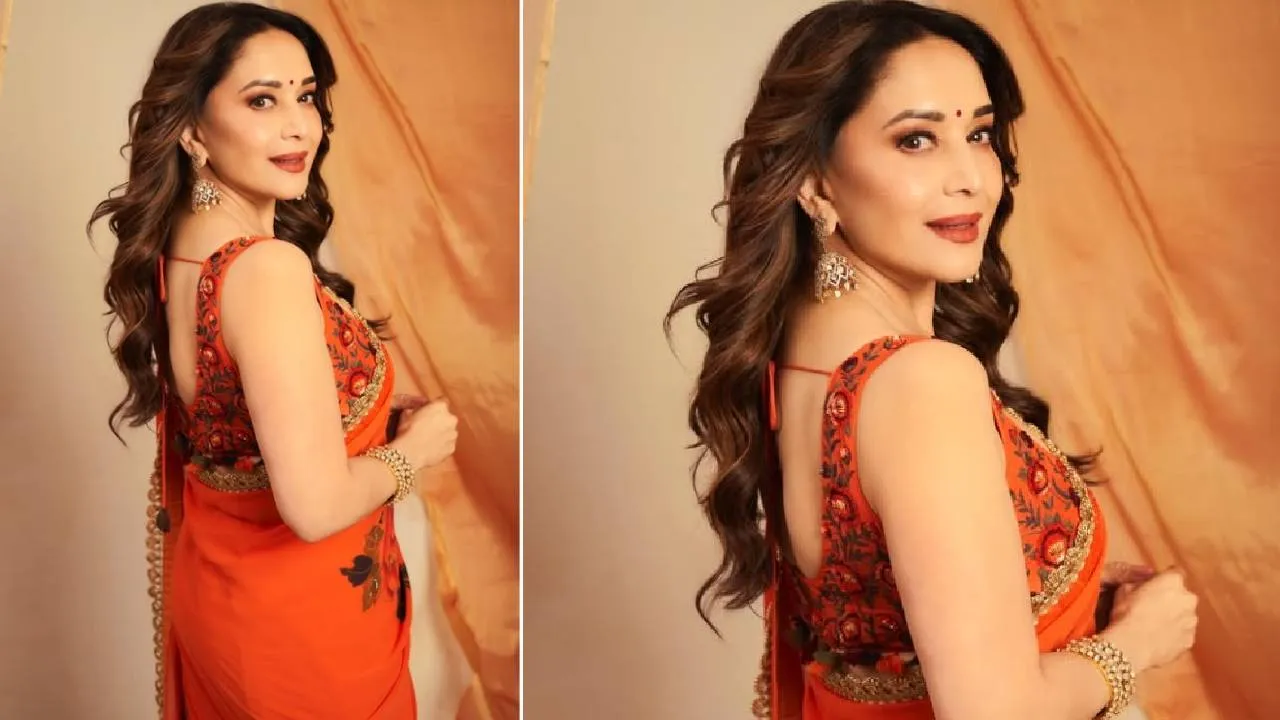 Star Saree Fashion 2026: ಮಾಧುರಿ ದೀಕ್ಷಿತ್‌ ಫ್ಲೋರಲ್‌ ಸೀರೆ ಸ್ಟೈಲಿಂಗ್‌ಗಾಗಿ 6 ಟಿಪ್ಸ್ - Image 5