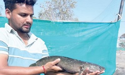Young Fish Farmer: ಮತ್ಸ್ಯ ಕೃಷಿ ಯುವಕನಿಗೆ ಮೋದಿ ಪ್ರಶಂಸೆ