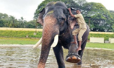 ಎಲ್ಲರೊಳಗಿನ ನಾರಾಯಣ