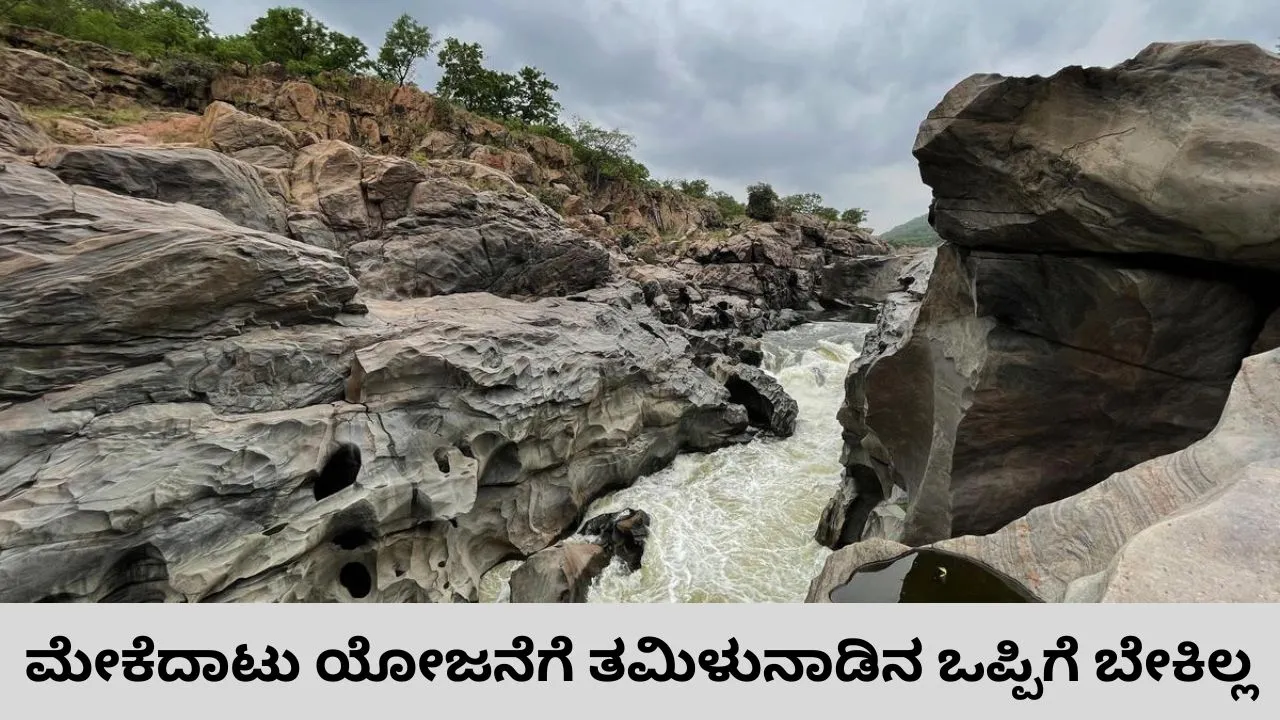 ಮೇಕೆದಾಟು ಯೋಜನೆ: ಕರ್ನಾಟಕಕ್ಕೆ ಬಿಗ್‌ ರಿಲೀಫ್‌; ತಮಿಳುನಾಡಿನ ಒಪ್ಪಿಗೆ ಅಗತ್ಯವಿಲ್ಲ ಎಂದ ಕೇಂದ್ರ ಸರ್ಕಾರ