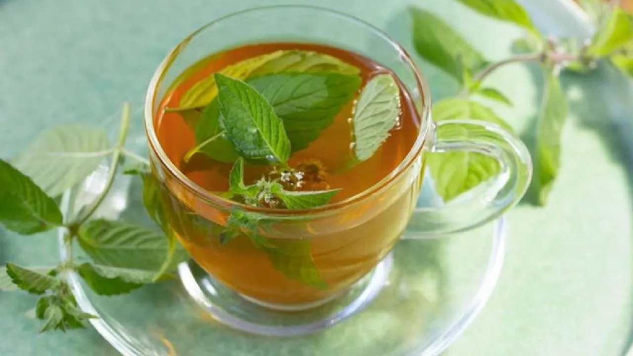 Health Benefits of Mint: ಬೇಸಿಗೆಯಲ್ಲೂ ತಂಪಾಗಿಸುವ ಪುದೀನಾದ ಸತ್ವಗಳು ಗೊತ್ತೇ?