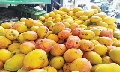 ಮಾರುಕಟ್ಟೆಯಲ್ಲಿ ಹಣ್ಣಿನ ರಾಜನಿಗಿಲ್ಲ ಬೆಲೆ