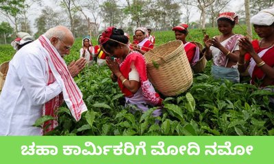 ಅಸ್ಸಾಂನಲ್ಲಿ ಕಾರ್ಮಿಕರೊಂದಿಗೆ ಚಹಾ ಎಲೆ ಕಿತ್ತ ಪ್ರಧಾನಿ ಮೋದಿ