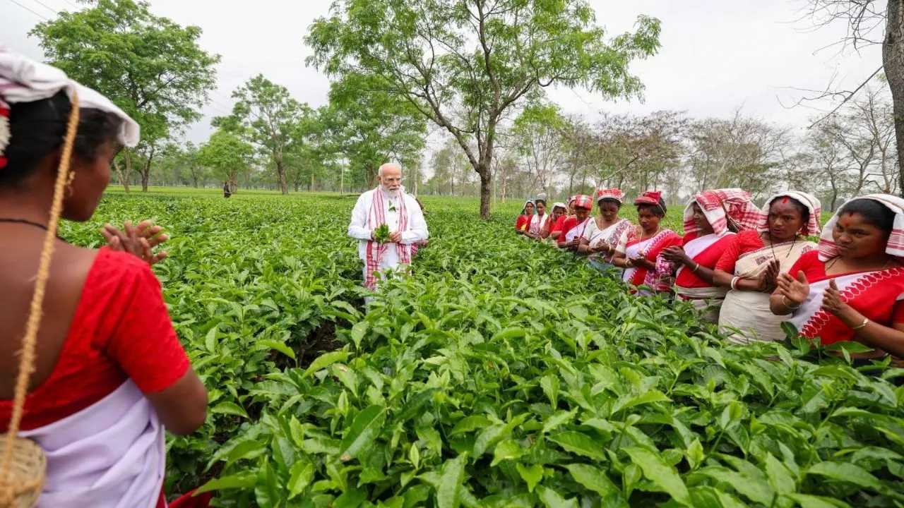 ಅಸ್ಸಾಂನ ಟೀ ಗಾರ್ಡನ್‌ಗೆ ನರೇಂದ್ರ ಮೋದಿ ಭೇಟಿ; ಕಾರ್ಮಿಕರೊಂದಿಗೆ ಚಹಾ ಎಲೆ ಕಿತ್ತು, ಸೆಲ್ಫಿಗೆ ಪೋಸ್‌ ನೀಡಿದ ಪ್ರಧಾನಿ - Image 6