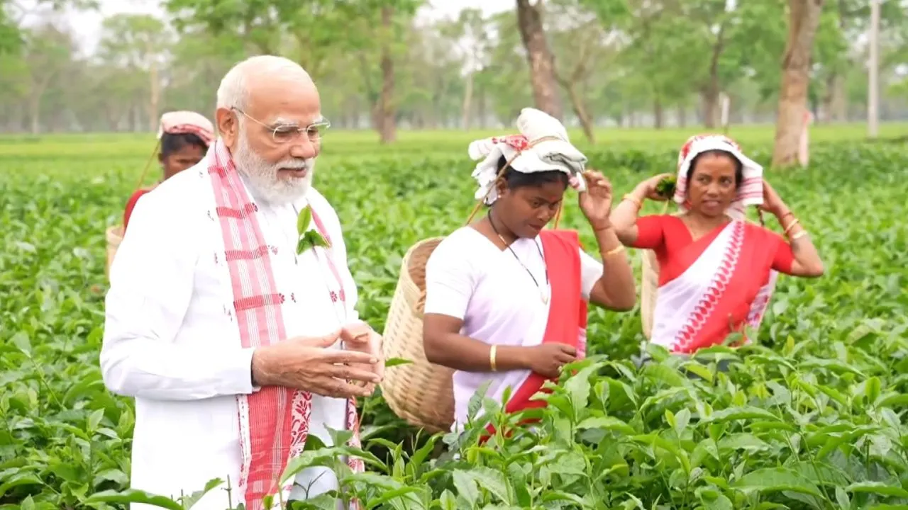 ಅಸ್ಸಾಂನ ಟೀ ಗಾರ್ಡನ್‌ಗೆ ನರೇಂದ್ರ ಮೋದಿ ಭೇಟಿ; ಕಾರ್ಮಿಕರೊಂದಿಗೆ ಚಹಾ ಎಲೆ ಕಿತ್ತು, ಸೆಲ್ಫಿಗೆ ಪೋಸ್‌ ನೀಡಿದ ಪ್ರಧಾನಿ - Image 1