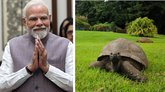 ಪ್ರಧಾನಿ ಮೋದಿ ಸೀಶೆಲ್ಸ್ ಪ್ರವಾಸ; ಇಲ್ಲಿದೆ ಕಂಪ್ಲೀಟ್ ಡಿಟೇಲ್ಸ್