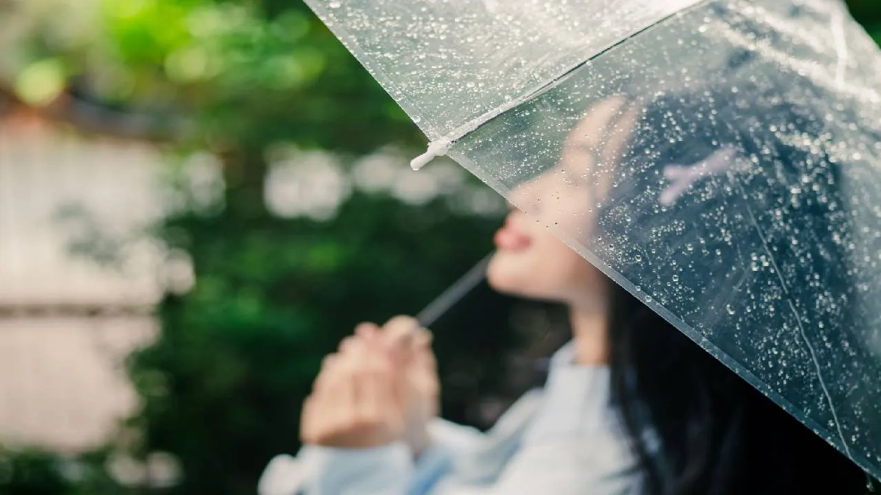 Monsoon Beauty Tips 2026: ಮಾನ್ಸೂನ್‌ಗೆ 7 ಸಿಂಪಲ್ ಬ್ಯೂಟಿ ಮಂತ್ರ - Image 2