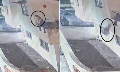 ಮೊದಲ ಮಹಡಿಯಿಂದ ಬಿದ್ದ ಮಗು- ಶಾಕಿಂಗ್‌ ವಿಡಿಯೊ ವೈರಲ್