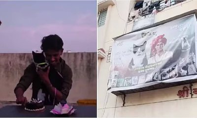 ಸಾಕುಬೆಕ್ಕಿಗೆ ಅದ್ಧೂರಿ ಬರ್ತ್‌ಡೇ ಪಾರ್ಟಿ ಕೊಟ್ಟ ಯುವಕ: ಇಲ್ಲಿದೆ ವಿಡಿಯೊ