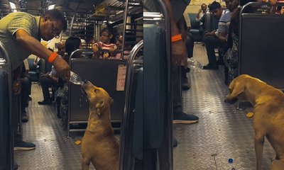 ಮುಂಬೈ ಲೋಕಲ್ ಟ್ರೈನ್‌ನಲ್ಲಿ ಬೀದಿನಾಯಿಗೆ ನೀರು ಕುಡಿಸಿದ ಪ್ರಯಾಣಿಕ