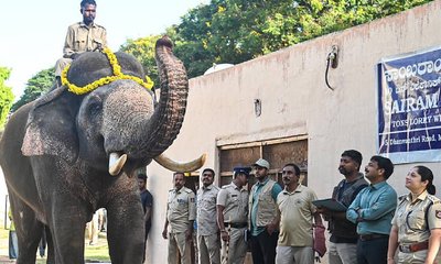 ಈ ಬಾರಿ ಜಂಬೂಸವಾರಿಯಲ್ಲಿ ಅಂಬಾರಿ ಹೊರಲು ಪ್ರಶಾಂತ ಆನೆ ಆಯ್ಕೆ