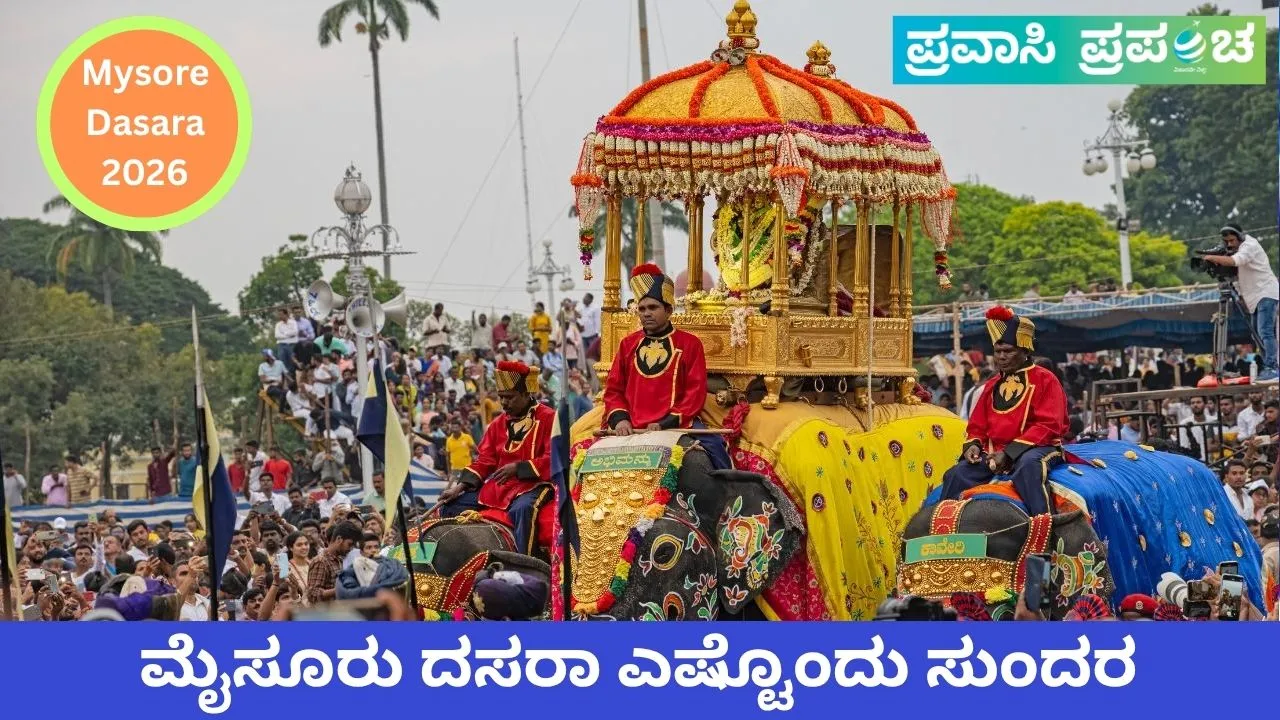 ಮೈಸೂರು ದಸರಾ ಎಷ್ಟೊಂದು ಸುಂದರ: ಅರಮನೆಯ ಬೆಳಕಿನಲ್ಲಿ ಅರಳುವ ಕರ್ನಾಟಕದ ಹೆಮ್ಮೆ
