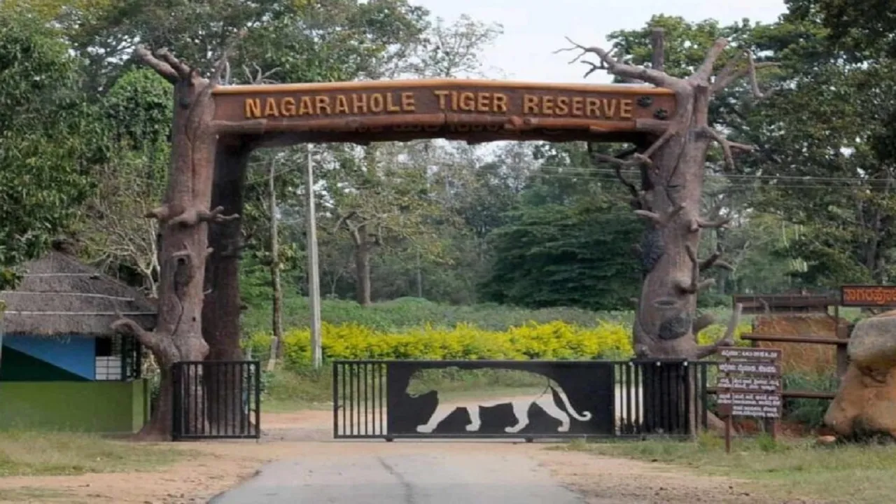 Use Safari: ʼಸಫಾರಿ ಬಳಸಿʼ ಅರಣ್ಯ ಉಳಿಸಿ