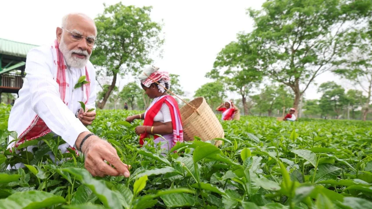 ಅಸ್ಸಾಂನ ಟೀ ಗಾರ್ಡನ್‌ಗೆ ನರೇಂದ್ರ ಮೋದಿ ಭೇಟಿ; ಕಾರ್ಮಿಕರೊಂದಿಗೆ ಚಹಾ ಎಲೆ ಕಿತ್ತು, ಸೆಲ್ಫಿಗೆ ಪೋಸ್‌ ನೀಡಿದ ಪ್ರಧಾನಿ - Image 5