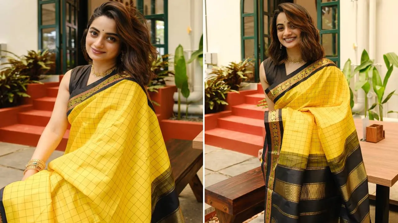 Saree Fashion 2026: ವಿಂಟೇಜ್‌ ಲುಕ್‌ ನೀಡುವ ಚೆಕ್ಸ್ ಸಿಲ್ಕ್‌ ಸೀರೆಗಳು - Image 3