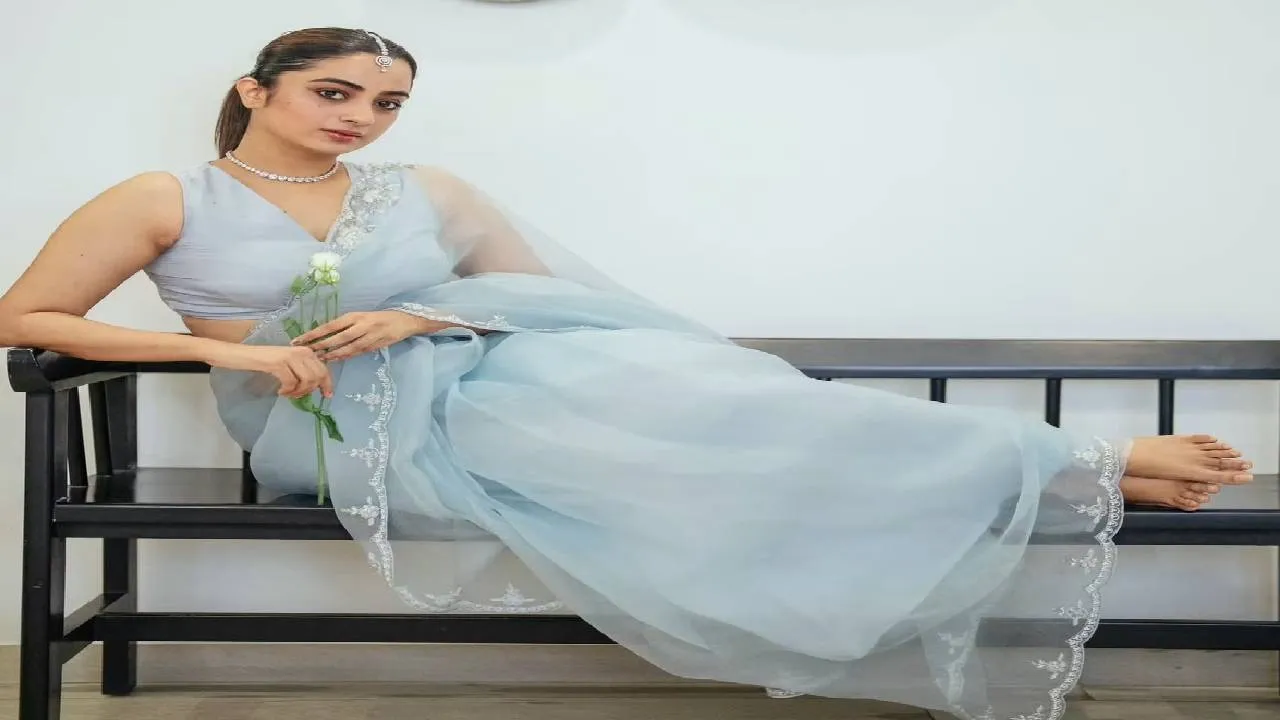 Saree Fashion 2026: ಅರ್ಗಾನ್ಜಾ ಸೀರೆಗೂ ಬಂತು ಡಿಸೈನರ್‌ ಸ್ಕಾಲಪ್‌ ಬಾರ್ಡರ್‌ - Image 3