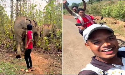 ಒಡಿಶಾದಲ್ಲಿ ಕಾಡಾನೆಗಳಿಗೆ ಕಿರುಕುಳ ನೀಡಿದ ಯುವಕರ ಗುಂಪು: ವಿಡಿಯೊ ವೈರಲ್