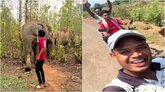 ಒಡಿಶಾದಲ್ಲಿ ಕಾಡಾನೆಗಳಿಗೆ ಕಿರುಕುಳ ನೀಡಿದ ಯುವಕರ ಗುಂಪು: ವಿಡಿಯೊ ವೈರಲ್