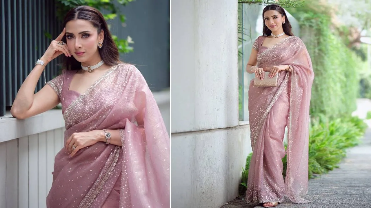 Saree Fashion 2026: ಪಾರ್ಟಿವೇರ್‌ ಆರ್ಗನ್ಜಾ ಸೀರೆಯ ಆಯ್ಕೆಗೆ ಇಲ್ಲಿವೆ ಟಿಪ್ಸ್ - Image 4