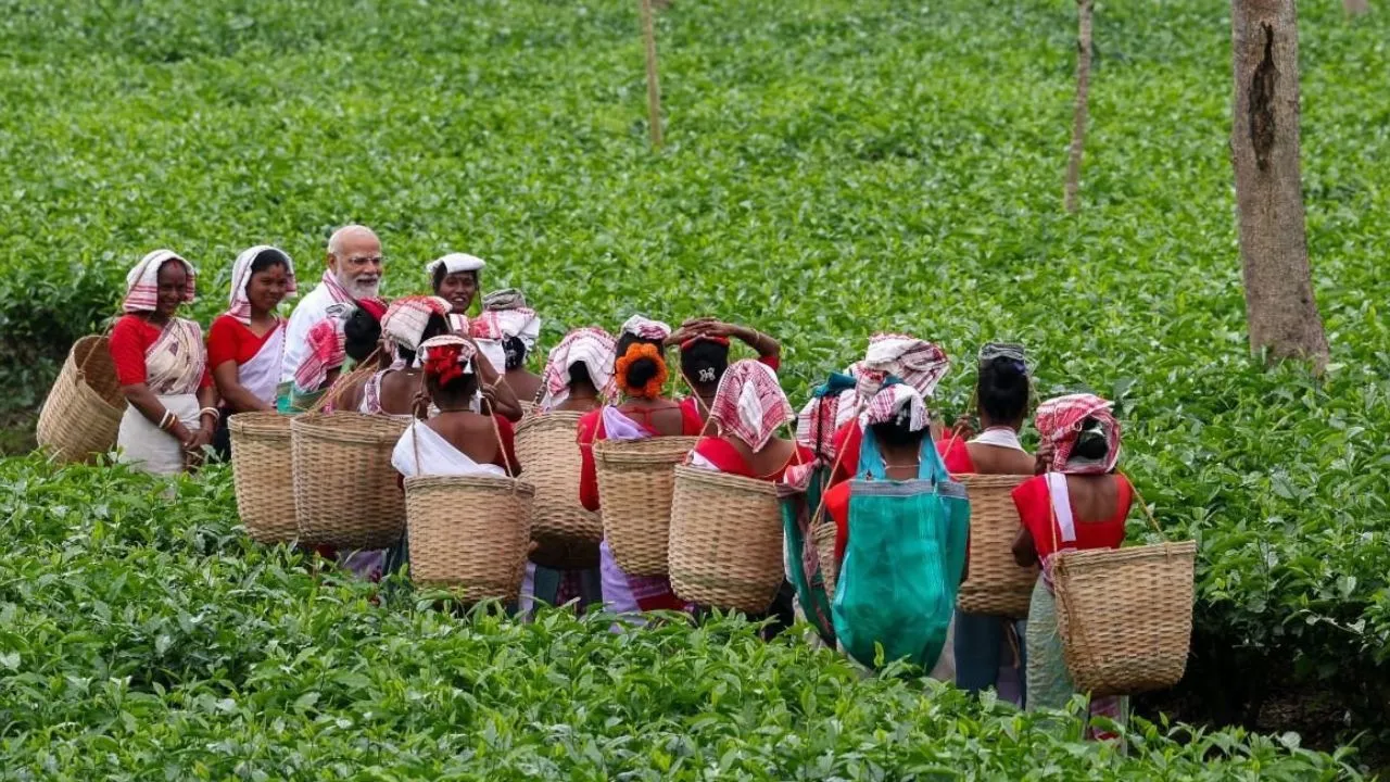 ಅಸ್ಸಾಂನ ಟೀ ಗಾರ್ಡನ್‌ಗೆ ನರೇಂದ್ರ ಮೋದಿ ಭೇಟಿ; ಕಾರ್ಮಿಕರೊಂದಿಗೆ ಚಹಾ ಎಲೆ ಕಿತ್ತು, ಸೆಲ್ಫಿಗೆ ಪೋಸ್‌ ನೀಡಿದ ಪ್ರಧಾನಿ - Image 4