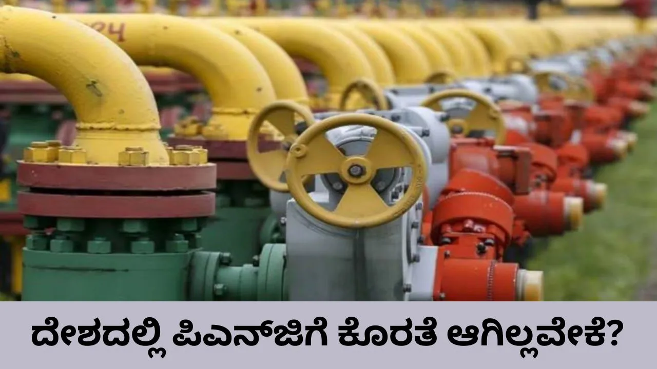 LPG vs PNG: ದೇಶದಲ್ಲಿ ಎಲ್‌ಪಿಜಿಗೆ ಕೊರತೆಯಾಗಿದ್ದರೂ ಪಿಎನ್‌ಜಿ ಪೂರೈಕೆ ಸರಾಗ; ಇದು ಸಾಧ್ಯವಾಗಿದ್ದು ಹೇಗೆ? ಏನು ಇವೆರಡರ ವ್ಯತ್ಯಾಸ?