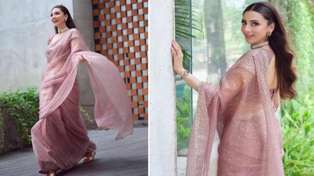 Saree Fashion 2026: ಪಾರ್ಟಿವೇರ್‌ ಆರ್ಗನ್ಜಾ ಸೀರೆಯ ಆಯ್ಕೆಗೆ ಇಲ್ಲಿವೆ ಟಿಪ್ಸ್ - Image 5