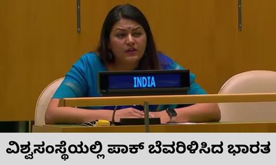 ವಿಶ್ವಸಂಸ್ಥೆಯಲ್ಲಿ ಪಾಕಿಸ್ತಾನಕ್ಕೆ ಭಾರತದ ಚಾಟಿ