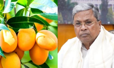 ಮಾವು ಬೆಳೆಗಾರರ ನೆರವಿಗೆ ಧಾವಿಸಲು ಕೇಂದ್ರಕ್ಕೆ ಸಿಎಂ ಸಿದ್ದರಾಮಯ್ಯ ಪತ್ರ