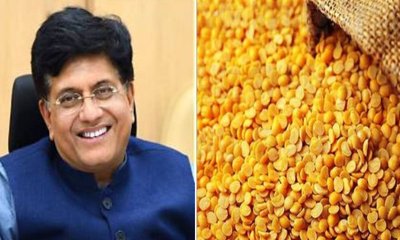 ಕರ್ನಾಟಕದಿಂದ ಮಾಲ್ಡೀವ್ಸ್‌ಗೆ ಕಲಬುರಗಿ ತೊಗರಿ ಬೇಳೆ ರಫ್ತಿಗೆ ಚಾಲನೆ