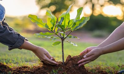 ಅಂಗಾಂಗ ದಾನ ದಿನದ ಅಂಗವಾಗಿ “Tree of Life” ಅಭಿಯಾನ ಪ್ರಾರಂಭ