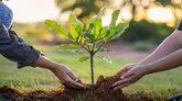 ಅಂಗಾಂಗ ದಾನ ದಿನದ ಅಂಗವಾಗಿ “Tree of Life” ಅಭಿಯಾನ ಪ್ರಾರಂಭ
