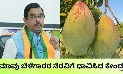 ತೋತಾಪುರಿ ಮಾವು ಕ್ವಿಂಟಾಲ್‌ಗೆ 1,750 ರುಪಾಯಿ ಸಹಾಯಧನ ಘೋಷಣೆ
